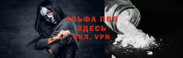 спиды Осташков