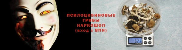 гидропоника Алзамай