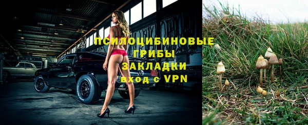 гидропоника Алзамай