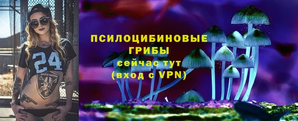 прущие крисы Алексин