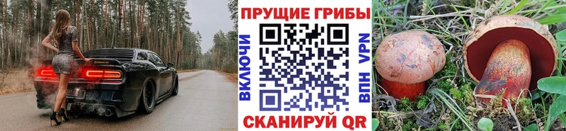 Галлюциногенные грибы мицелий  купить  цена  Рошаль 